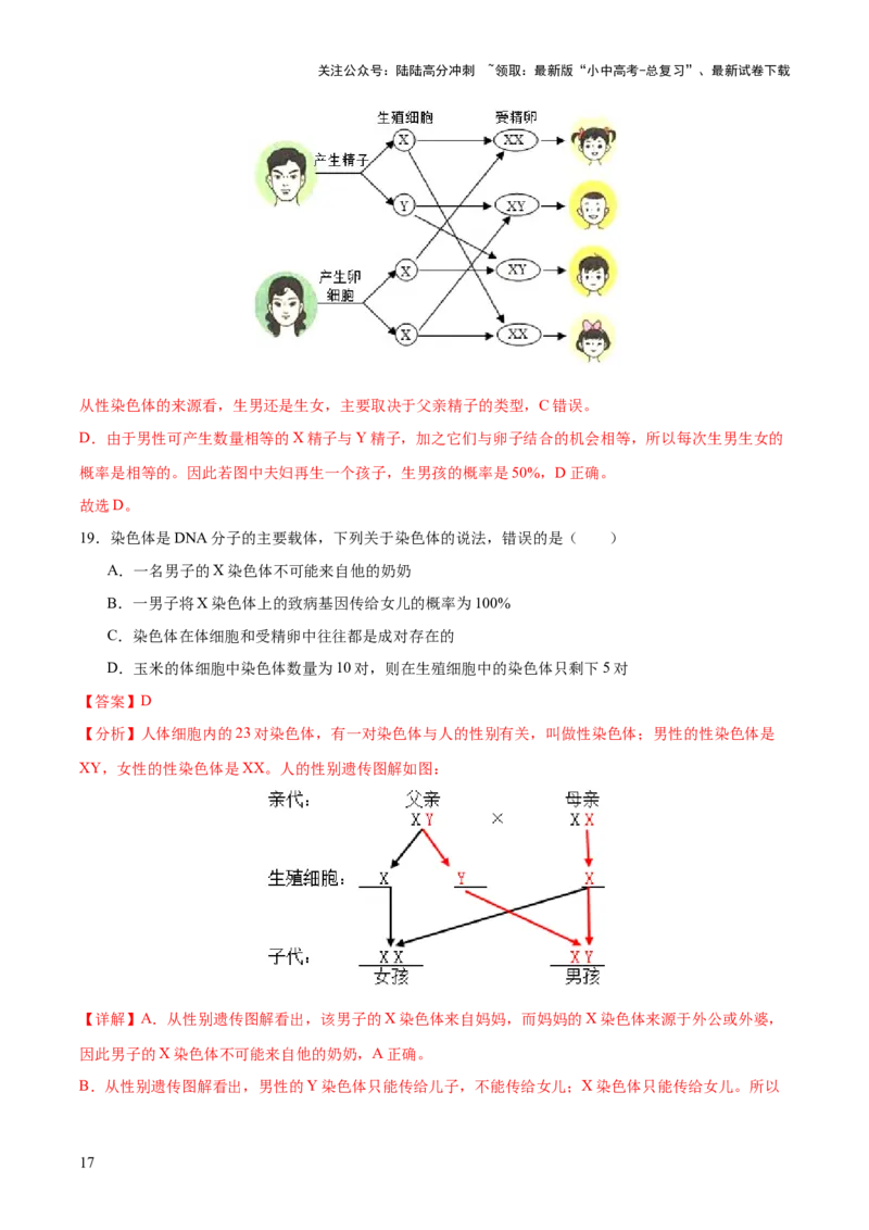 热点04基因组成及概率计算（测试）（解析版）_02中考总复习（2026版更新中）_08-生物-中考总复习_2025中考复习资料_2025中考二轮课件ppt+讲义+练习生物_测试