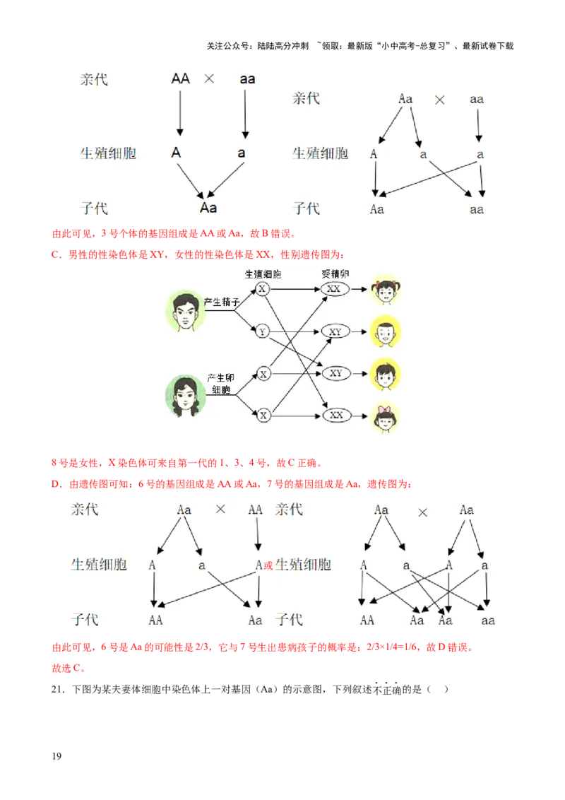 热点04基因组成及概率计算（测试）（解析版）_02中考总复习（2026版更新中）_08-生物-中考总复习_2025中考复习资料_2025中考二轮课件ppt+讲义+练习生物_测试