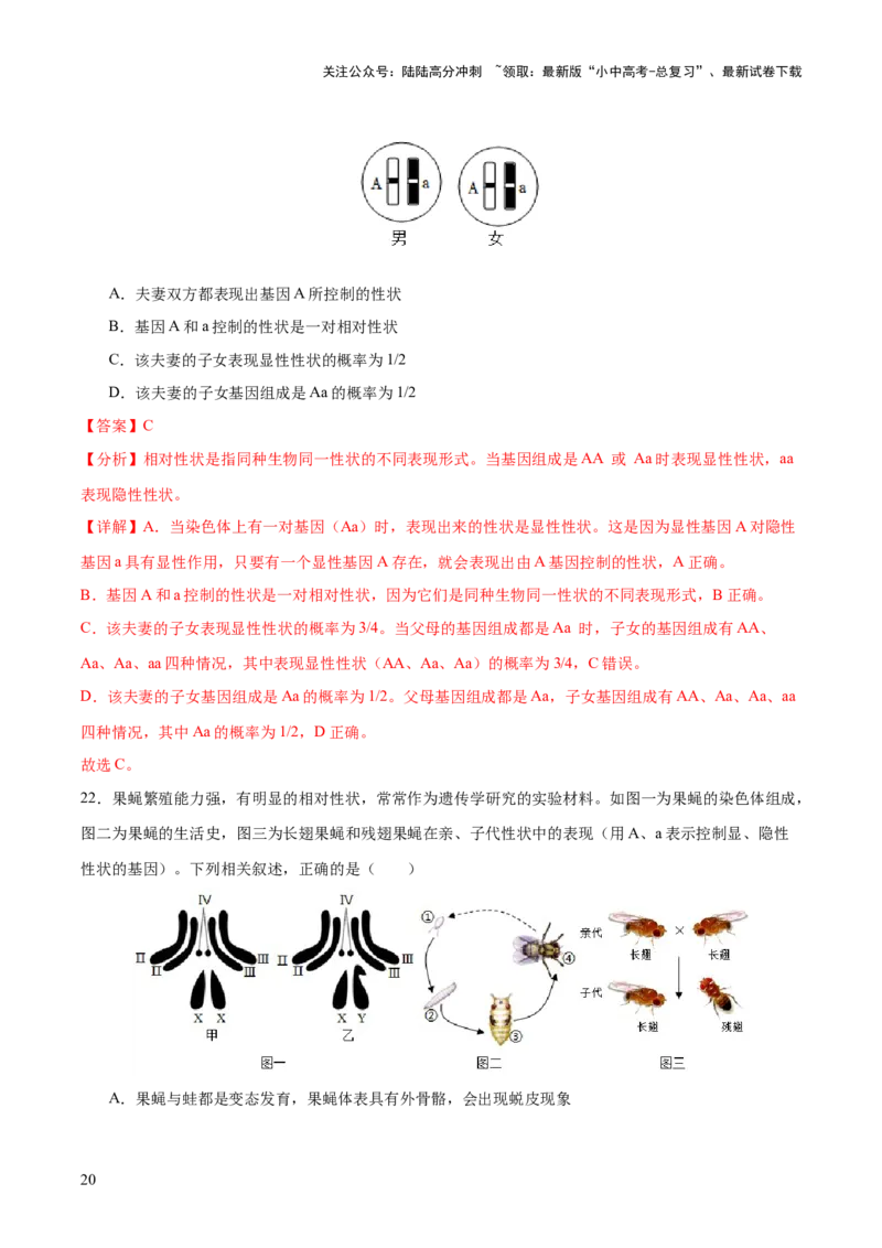 热点04基因组成及概率计算（测试）（解析版）_02中考总复习（2026版更新中）_08-生物-中考总复习_2025中考复习资料_2025中考二轮课件ppt+讲义+练习生物_测试