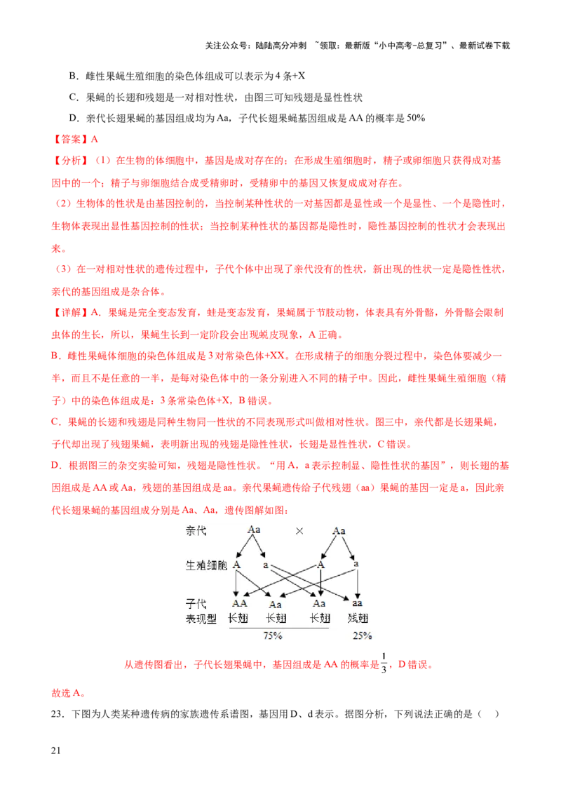 热点04基因组成及概率计算（测试）（解析版）_02中考总复习（2026版更新中）_08-生物-中考总复习_2025中考复习资料_2025中考二轮课件ppt+讲义+练习生物_测试