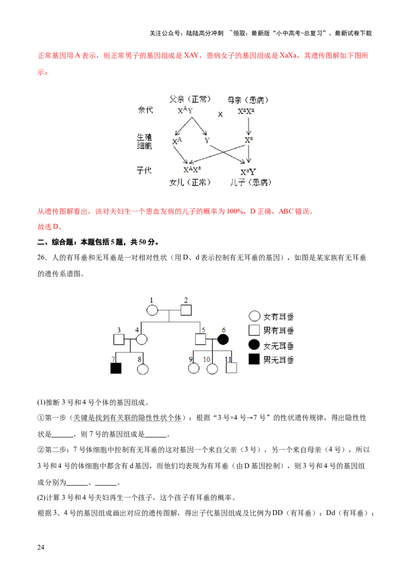 热点04基因组成及概率计算（测试）（解析版）_02中考总复习（2026版更新中）_08-生物-中考总复习_2025中考复习资料_2025中考二轮课件ppt+讲义+练习生物_测试