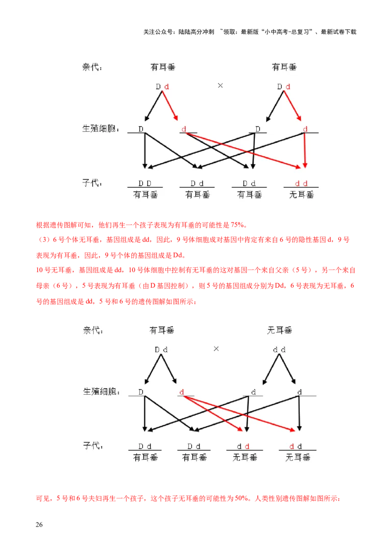 热点04基因组成及概率计算（测试）（解析版）_02中考总复习（2026版更新中）_08-生物-中考总复习_2025中考复习资料_2025中考二轮课件ppt+讲义+练习生物_测试