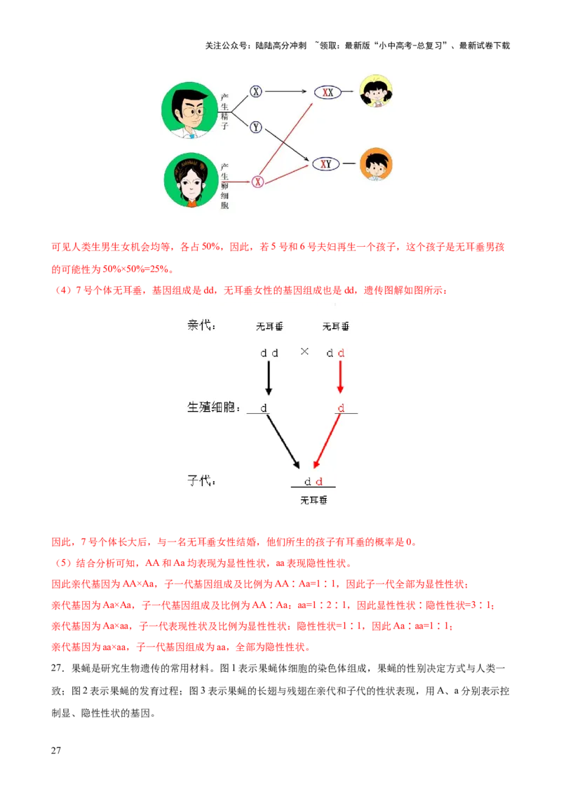 热点04基因组成及概率计算（测试）（解析版）_02中考总复习（2026版更新中）_08-生物-中考总复习_2025中考复习资料_2025中考二轮课件ppt+讲义+练习生物_测试