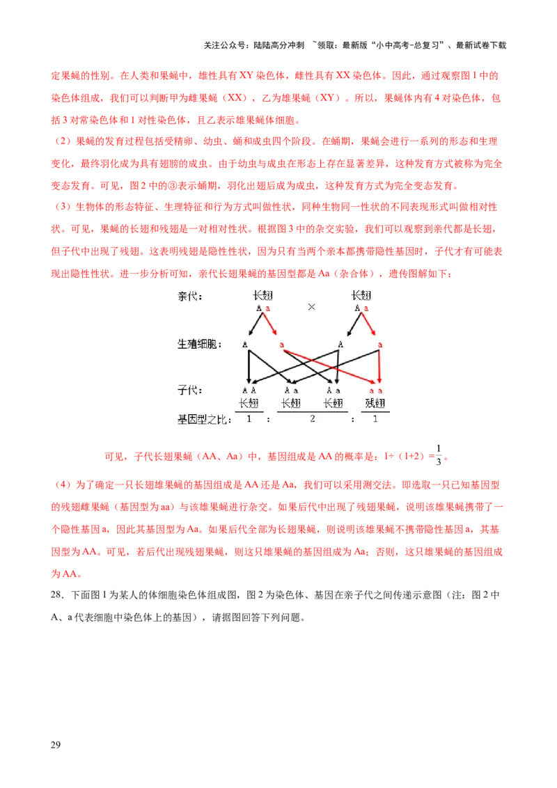 热点04基因组成及概率计算（测试）（解析版）_02中考总复习（2026版更新中）_08-生物-中考总复习_2025中考复习资料_2025中考二轮课件ppt+讲义+练习生物_测试