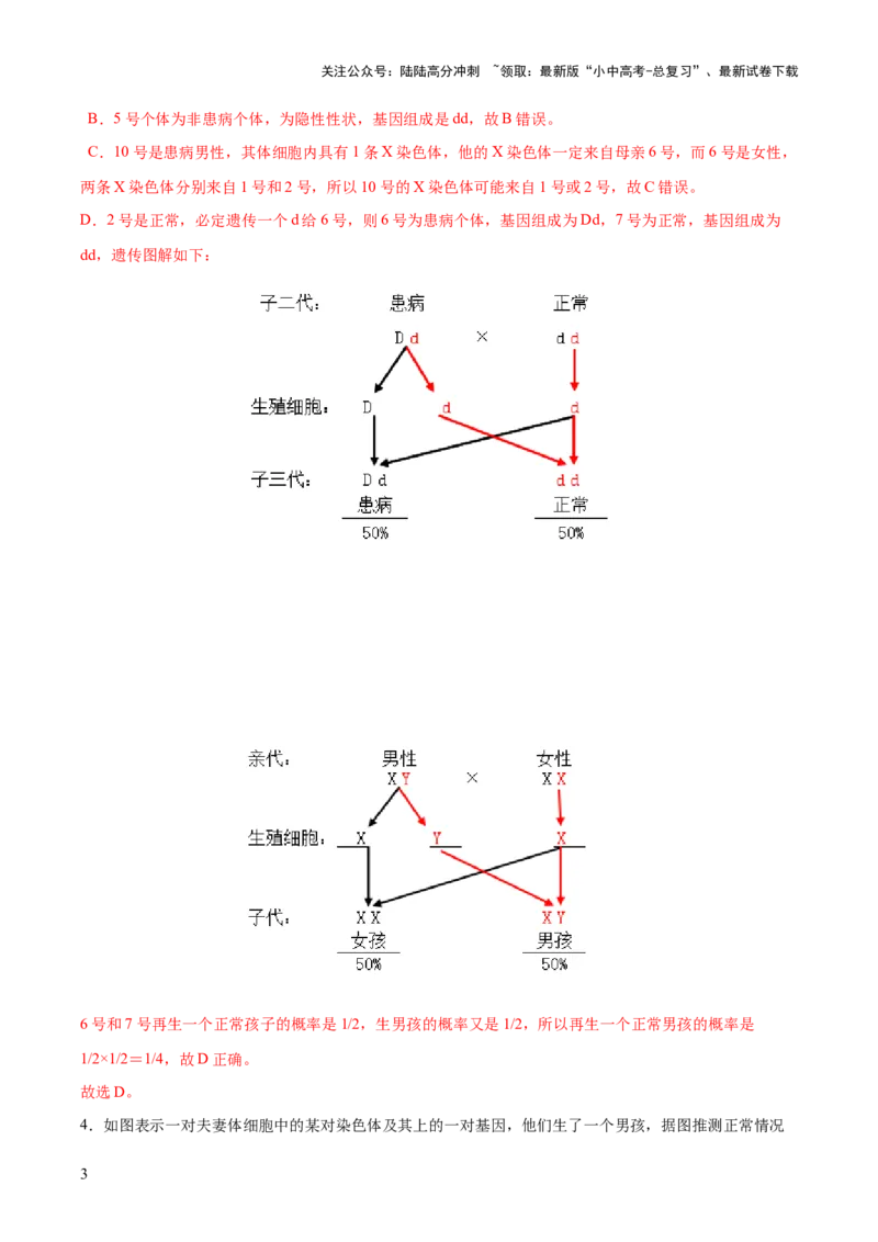 热点04基因组成及概率计算（测试）（解析版）_02中考总复习（2026版更新中）_08-生物-中考总复习_2025中考复习资料_2025中考二轮课件ppt+讲义+练习生物_测试