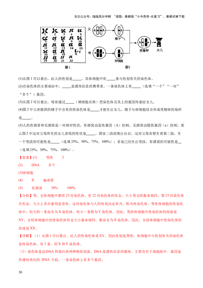 热点04基因组成及概率计算（测试）（解析版）_02中考总复习（2026版更新中）_08-生物-中考总复习_2025中考复习资料_2025中考二轮课件ppt+讲义+练习生物_测试