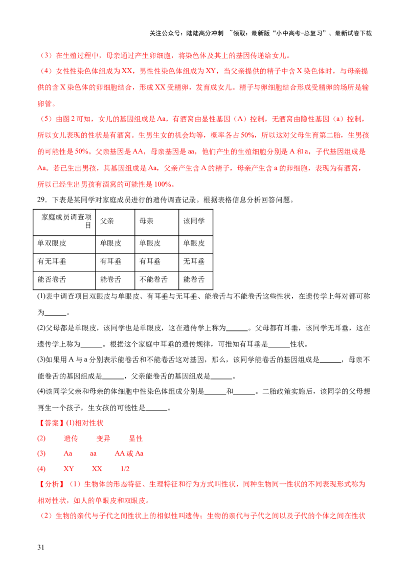 热点04基因组成及概率计算（测试）（解析版）_02中考总复习（2026版更新中）_08-生物-中考总复习_2025中考复习资料_2025中考二轮课件ppt+讲义+练习生物_测试