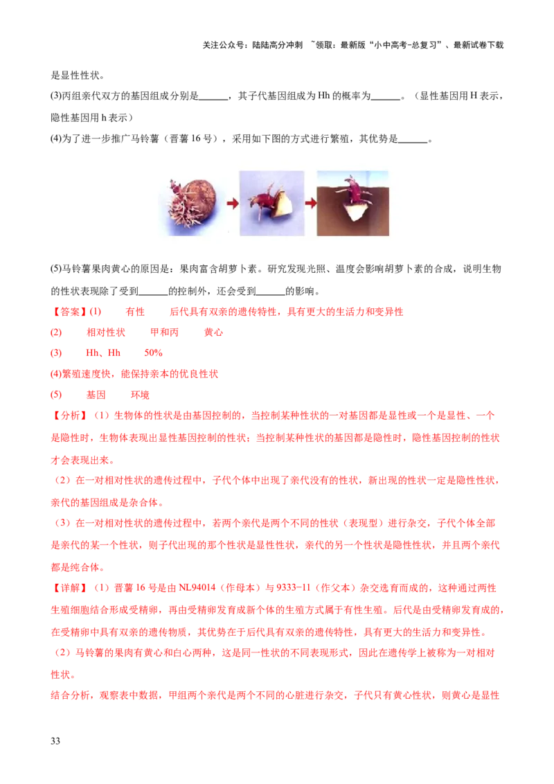 热点04基因组成及概率计算（测试）（解析版）_02中考总复习（2026版更新中）_08-生物-中考总复习_2025中考复习资料_2025中考二轮课件ppt+讲义+练习生物_测试