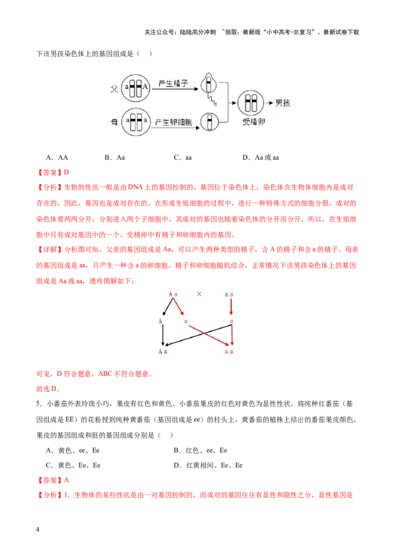热点04基因组成及概率计算（测试）（解析版）_02中考总复习（2026版更新中）_08-生物-中考总复习_2025中考复习资料_2025中考二轮课件ppt+讲义+练习生物_测试