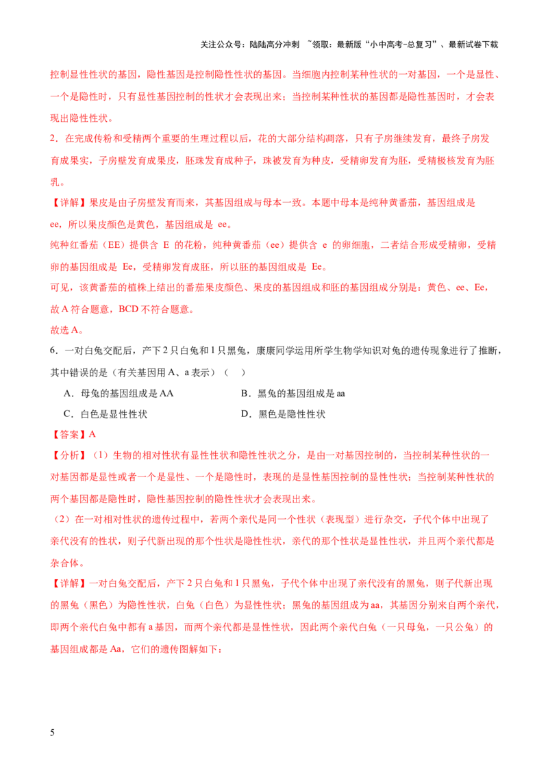 热点04基因组成及概率计算（测试）（解析版）_02中考总复习（2026版更新中）_08-生物-中考总复习_2025中考复习资料_2025中考二轮课件ppt+讲义+练习生物_测试