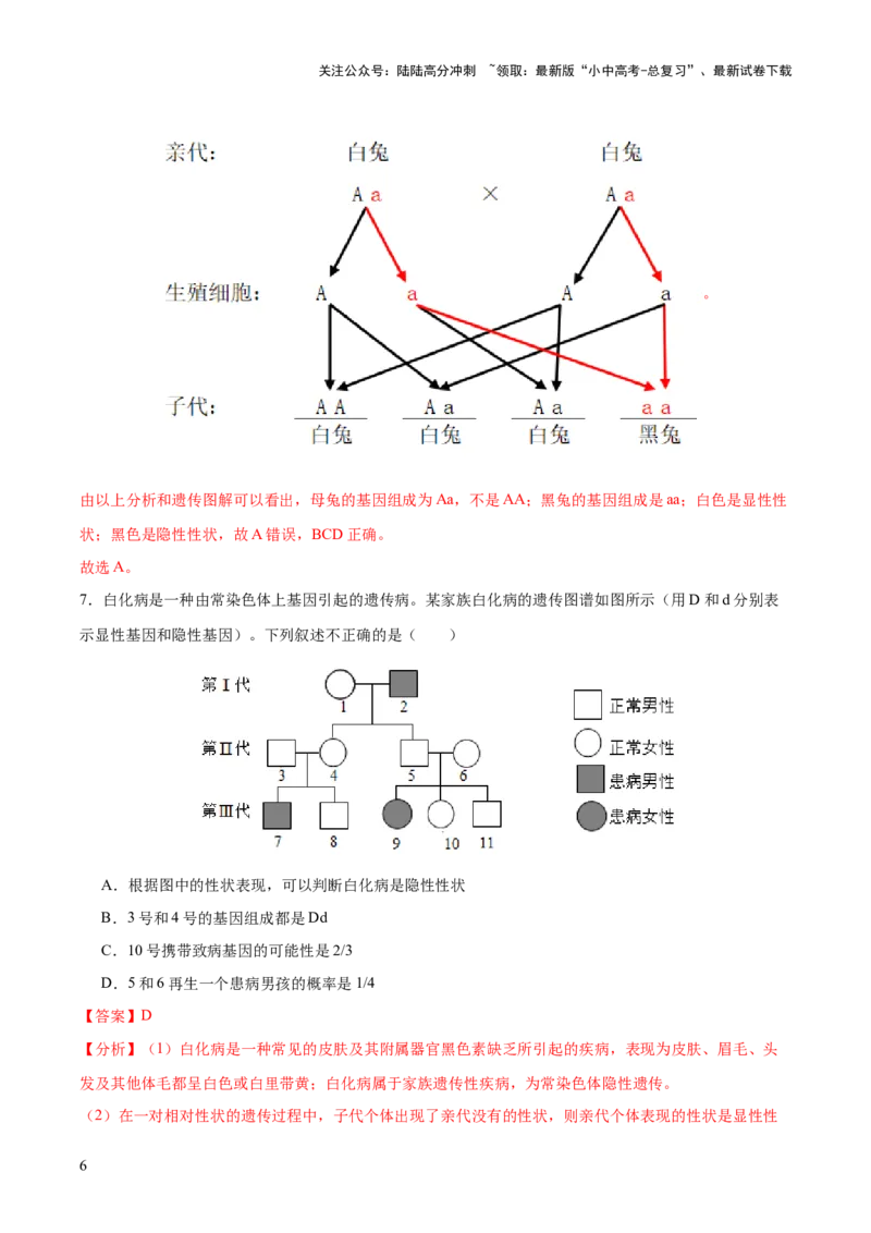 热点04基因组成及概率计算（测试）（解析版）_02中考总复习（2026版更新中）_08-生物-中考总复习_2025中考复习资料_2025中考二轮课件ppt+讲义+练习生物_测试