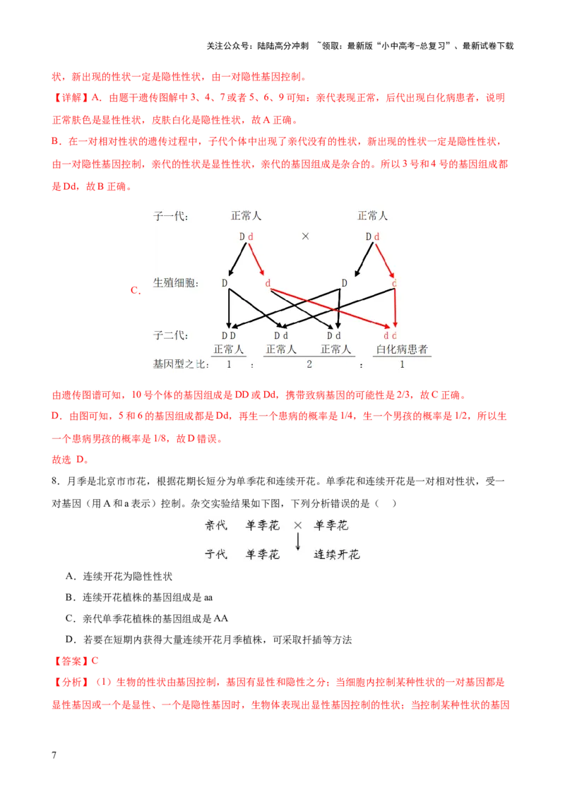 热点04基因组成及概率计算（测试）（解析版）_02中考总复习（2026版更新中）_08-生物-中考总复习_2025中考复习资料_2025中考二轮课件ppt+讲义+练习生物_测试