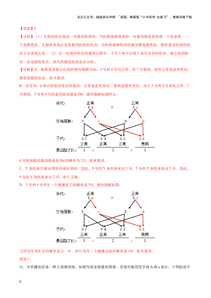 热点04基因组成及概率计算（测试）（解析版）_02中考总复习（2026版更新中）_08-生物-中考总复习_2025中考复习资料_2025中考二轮课件ppt+讲义+练习生物_测试