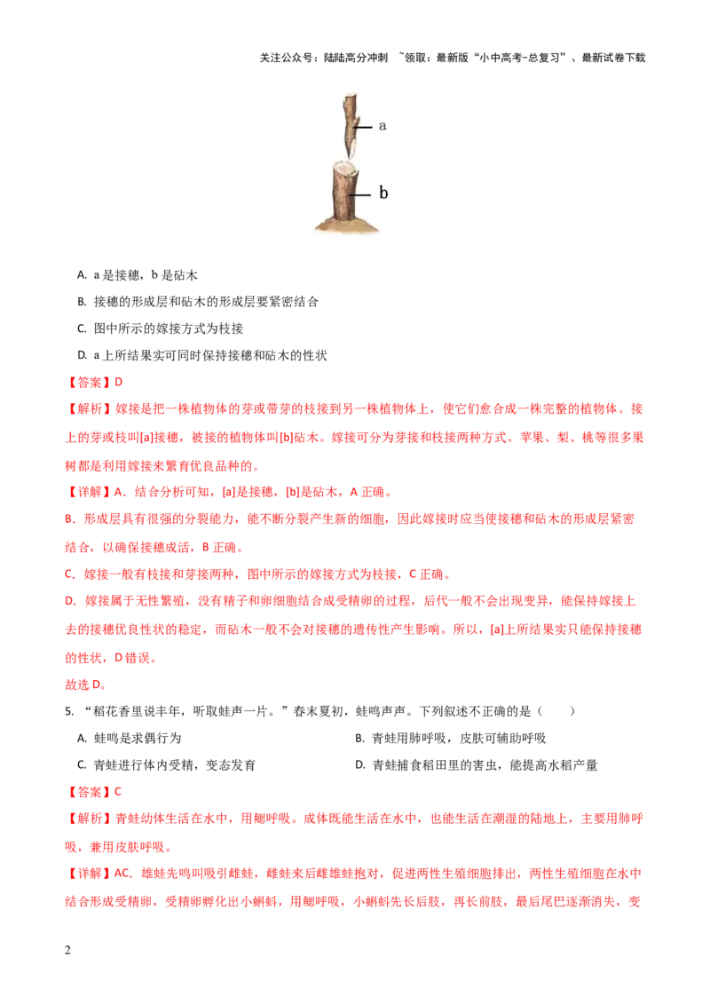 模块六生物圈中生命的延续和发展（测试）（解析版）_02中考总复习（2026版更新中）_08-生物-中考总复习_2024年中考复习资料_一轮复习_❤2024年中考生物一轮复习讲练测（全国通用）_练习