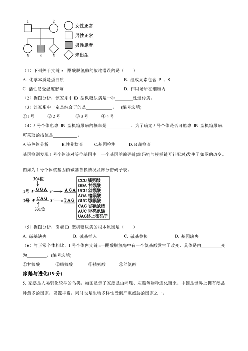 上海市黄浦区敬业中学2023-2024学年高二下学期6月期末生物试题（含答案）_A1502026各地模拟卷（超值！）_6月_2406292024上海市黄浦区敬业中学高二下学期6月期末