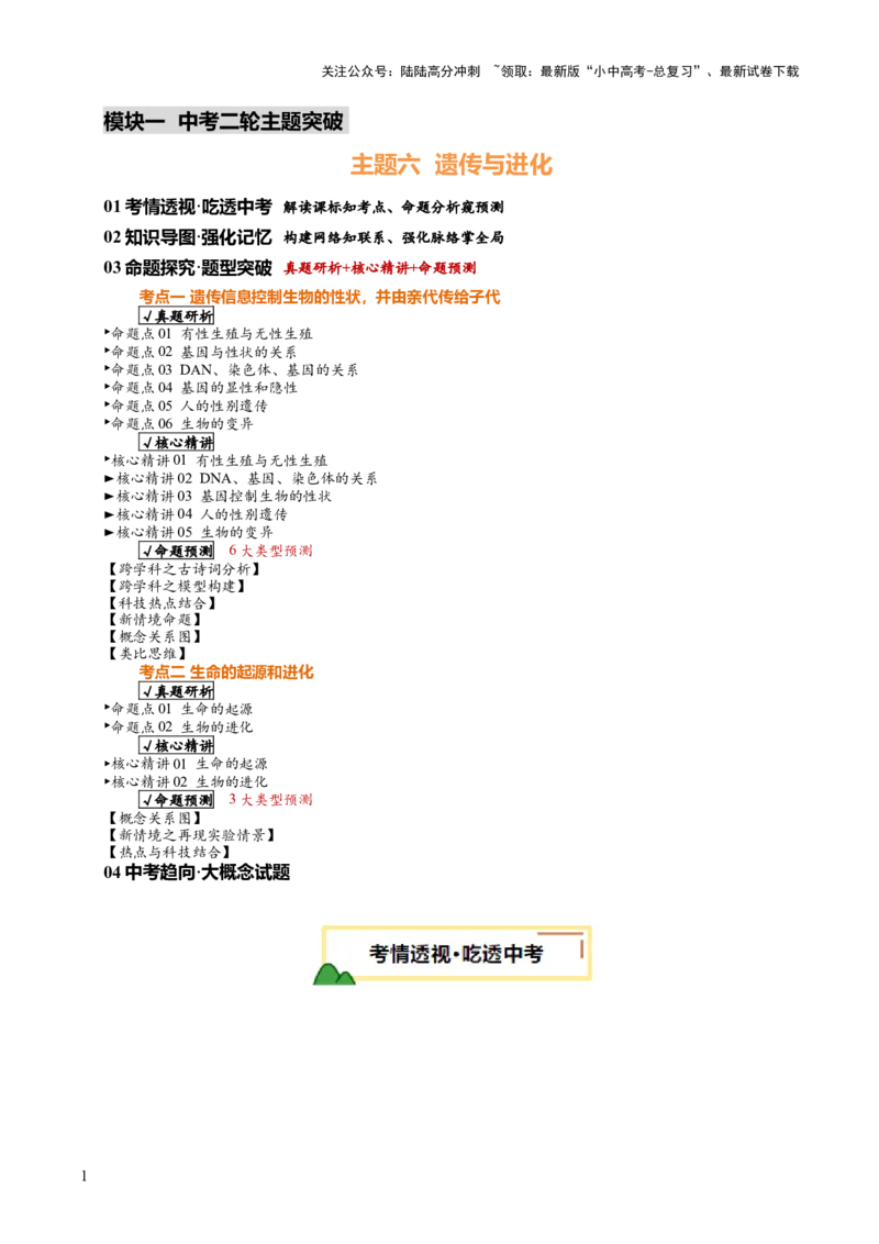 主题六遗传与进化（讲练）（解析版）_02中考总复习（2026版更新中）_08-生物-中考总复习_2025中考复习资料_2025中考二轮课件ppt+讲义+练习生物_讲义+练习