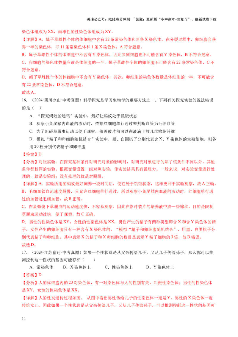 主题六遗传与进化（讲练）（解析版）_02中考总复习（2026版更新中）_08-生物-中考总复习_2025中考复习资料_2025中考二轮课件ppt+讲义+练习生物_讲义+练习