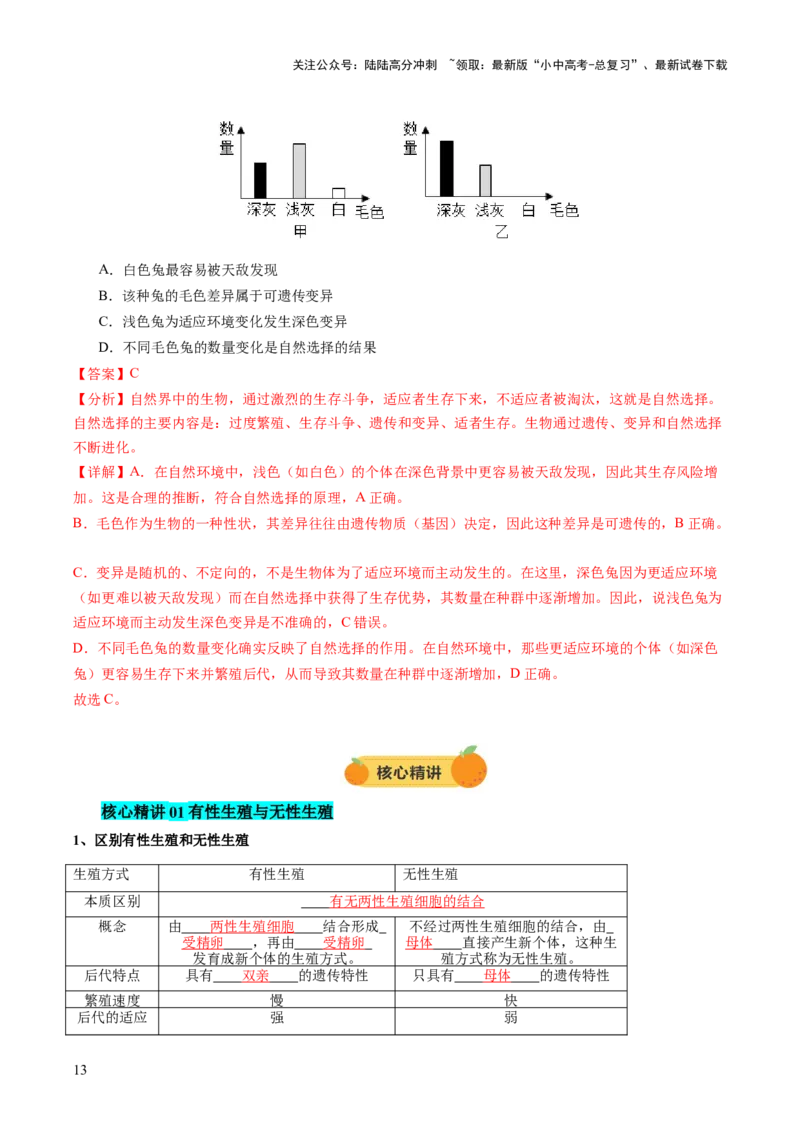 主题六遗传与进化（讲练）（解析版）_02中考总复习（2026版更新中）_08-生物-中考总复习_2025中考复习资料_2025中考二轮课件ppt+讲义+练习生物_讲义+练习