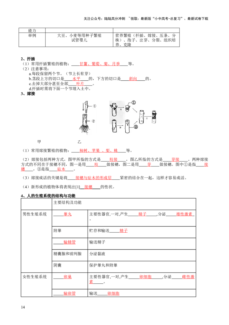 主题六遗传与进化（讲练）（解析版）_02中考总复习（2026版更新中）_08-生物-中考总复习_2025中考复习资料_2025中考二轮课件ppt+讲义+练习生物_讲义+练习
