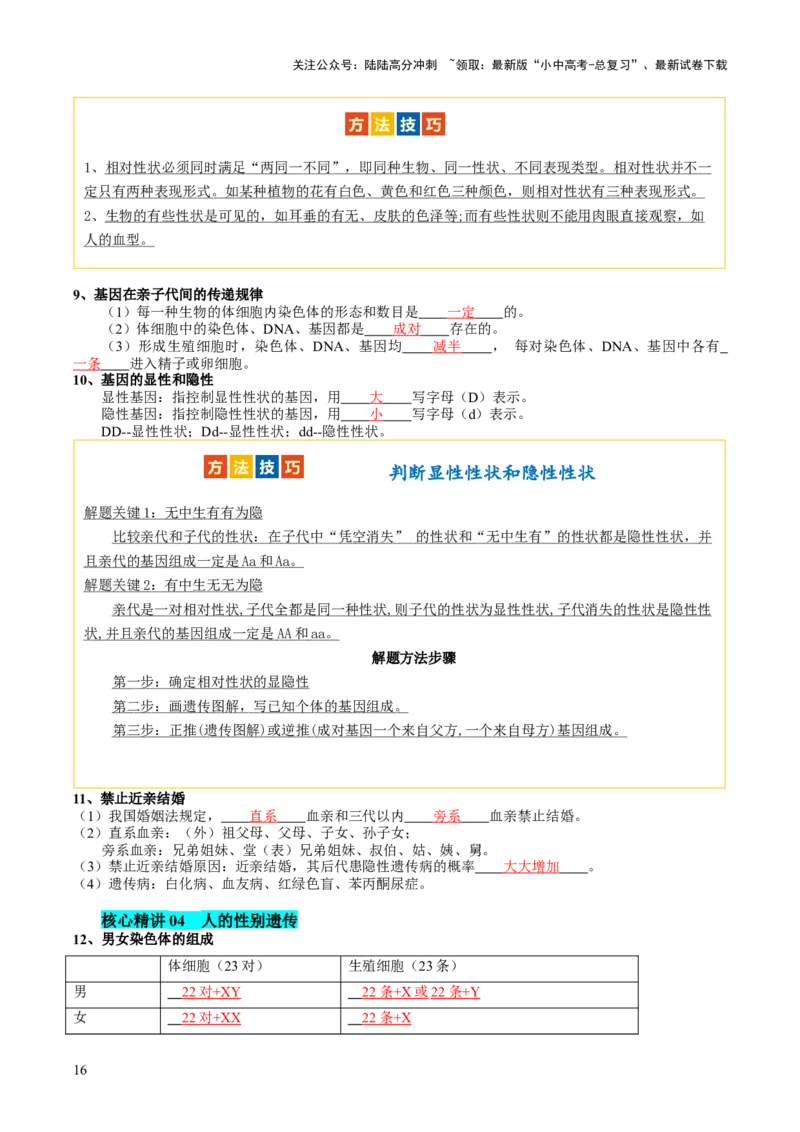 主题六遗传与进化（讲练）（解析版）_02中考总复习（2026版更新中）_08-生物-中考总复习_2025中考复习资料_2025中考二轮课件ppt+讲义+练习生物_讲义+练习