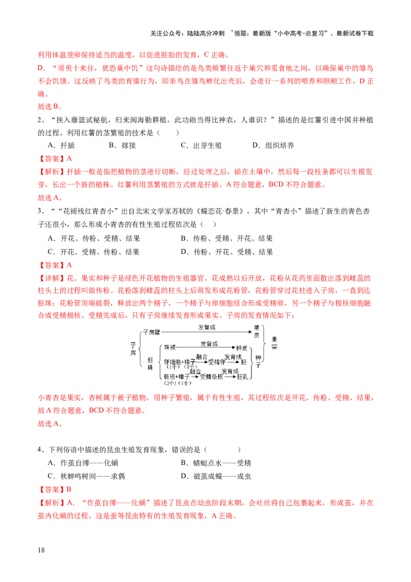 主题六遗传与进化（讲练）（解析版）_02中考总复习（2026版更新中）_08-生物-中考总复习_2025中考复习资料_2025中考二轮课件ppt+讲义+练习生物_讲义+练习