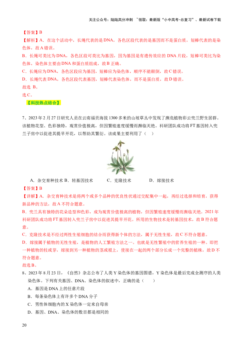 主题六遗传与进化（讲练）（解析版）_02中考总复习（2026版更新中）_08-生物-中考总复习_2025中考复习资料_2025中考二轮课件ppt+讲义+练习生物_讲义+练习