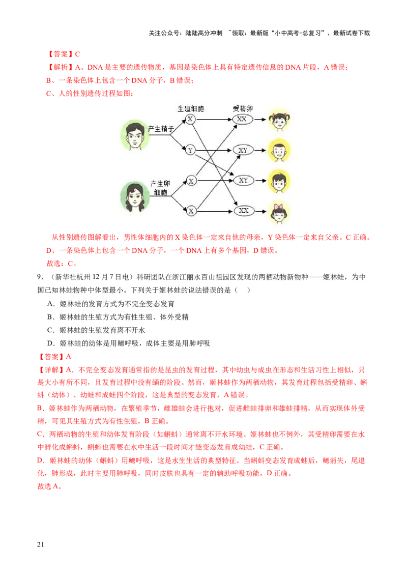 主题六遗传与进化（讲练）（解析版）_02中考总复习（2026版更新中）_08-生物-中考总复习_2025中考复习资料_2025中考二轮课件ppt+讲义+练习生物_讲义+练习