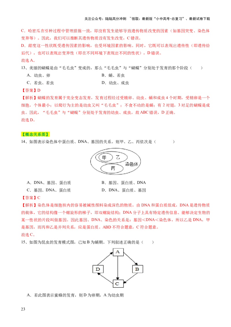主题六遗传与进化（讲练）（解析版）_02中考总复习（2026版更新中）_08-生物-中考总复习_2025中考复习资料_2025中考二轮课件ppt+讲义+练习生物_讲义+练习