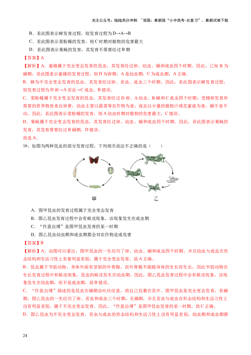 主题六遗传与进化（讲练）（解析版）_02中考总复习（2026版更新中）_08-生物-中考总复习_2025中考复习资料_2025中考二轮课件ppt+讲义+练习生物_讲义+练习