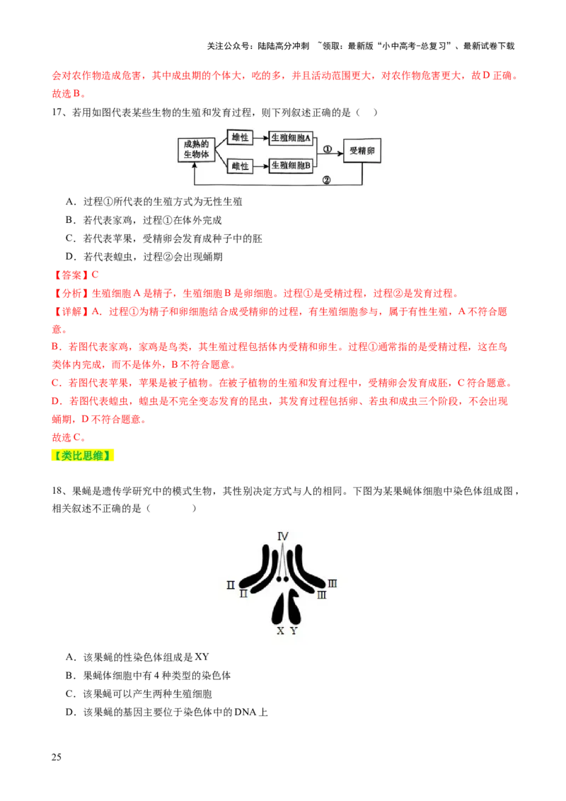 主题六遗传与进化（讲练）（解析版）_02中考总复习（2026版更新中）_08-生物-中考总复习_2025中考复习资料_2025中考二轮课件ppt+讲义+练习生物_讲义+练习