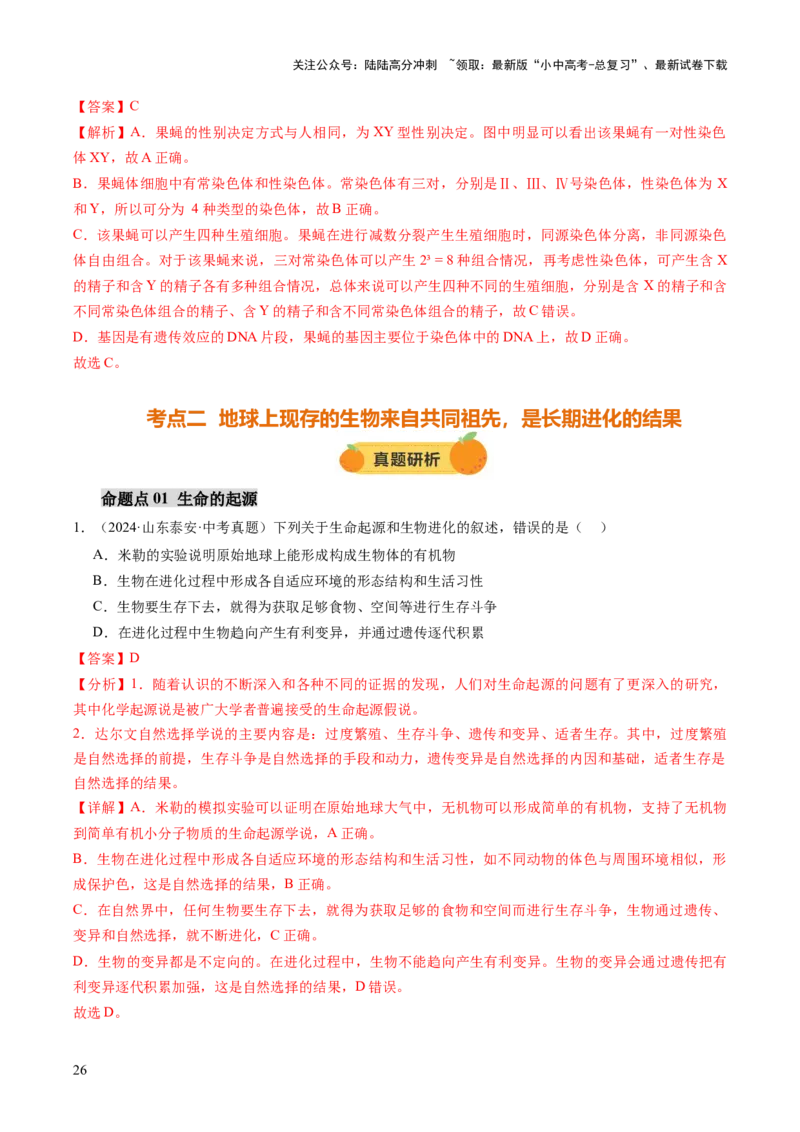 主题六遗传与进化（讲练）（解析版）_02中考总复习（2026版更新中）_08-生物-中考总复习_2025中考复习资料_2025中考二轮课件ppt+讲义+练习生物_讲义+练习