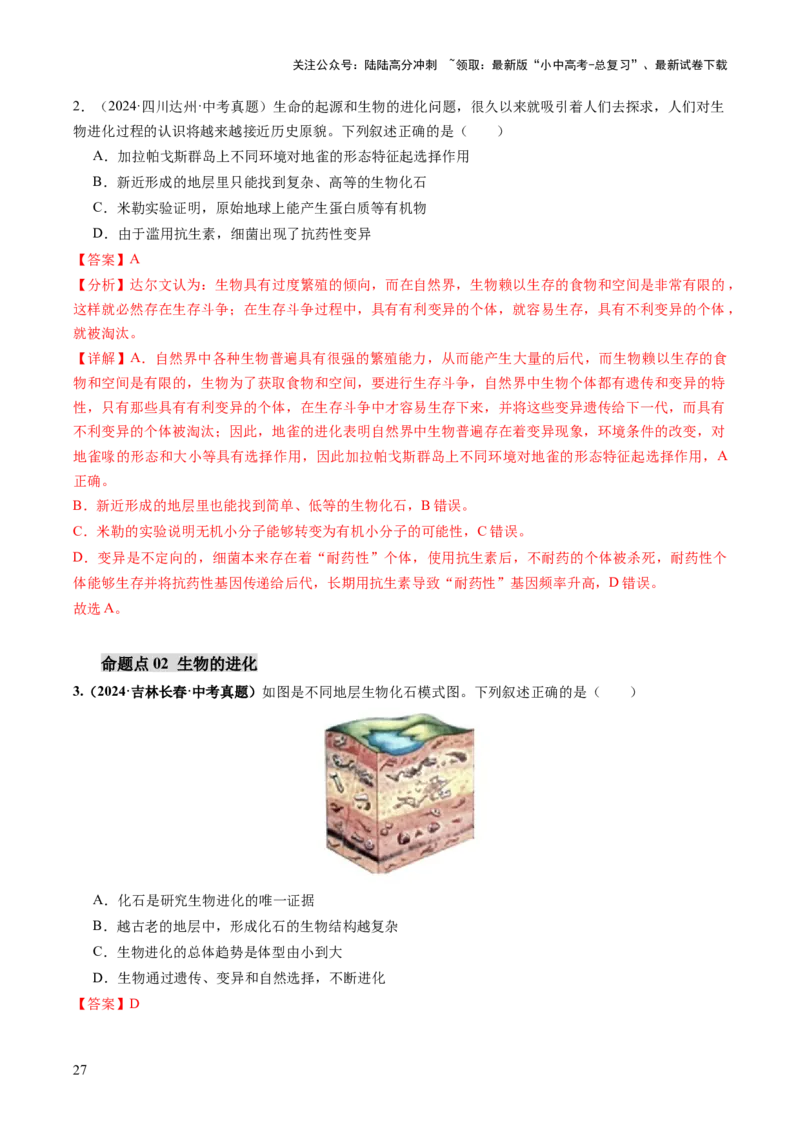 主题六遗传与进化（讲练）（解析版）_02中考总复习（2026版更新中）_08-生物-中考总复习_2025中考复习资料_2025中考二轮课件ppt+讲义+练习生物_讲义+练习