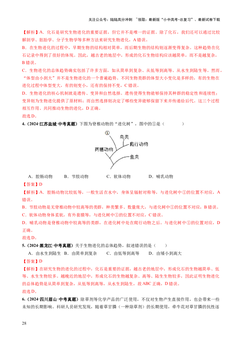 主题六遗传与进化（讲练）（解析版）_02中考总复习（2026版更新中）_08-生物-中考总复习_2025中考复习资料_2025中考二轮课件ppt+讲义+练习生物_讲义+练习