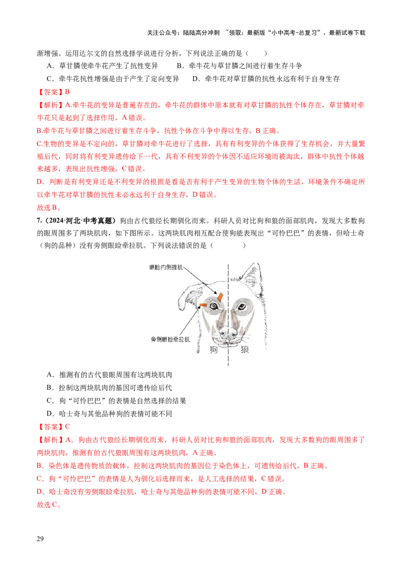 主题六遗传与进化（讲练）（解析版）_02中考总复习（2026版更新中）_08-生物-中考总复习_2025中考复习资料_2025中考二轮课件ppt+讲义+练习生物_讲义+练习