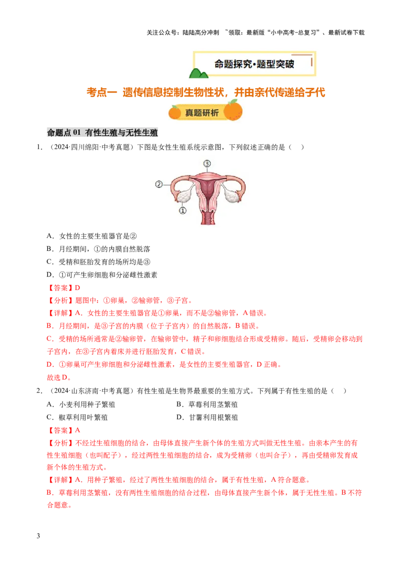 主题六遗传与进化（讲练）（解析版）_02中考总复习（2026版更新中）_08-生物-中考总复习_2025中考复习资料_2025中考二轮课件ppt+讲义+练习生物_讲义+练习