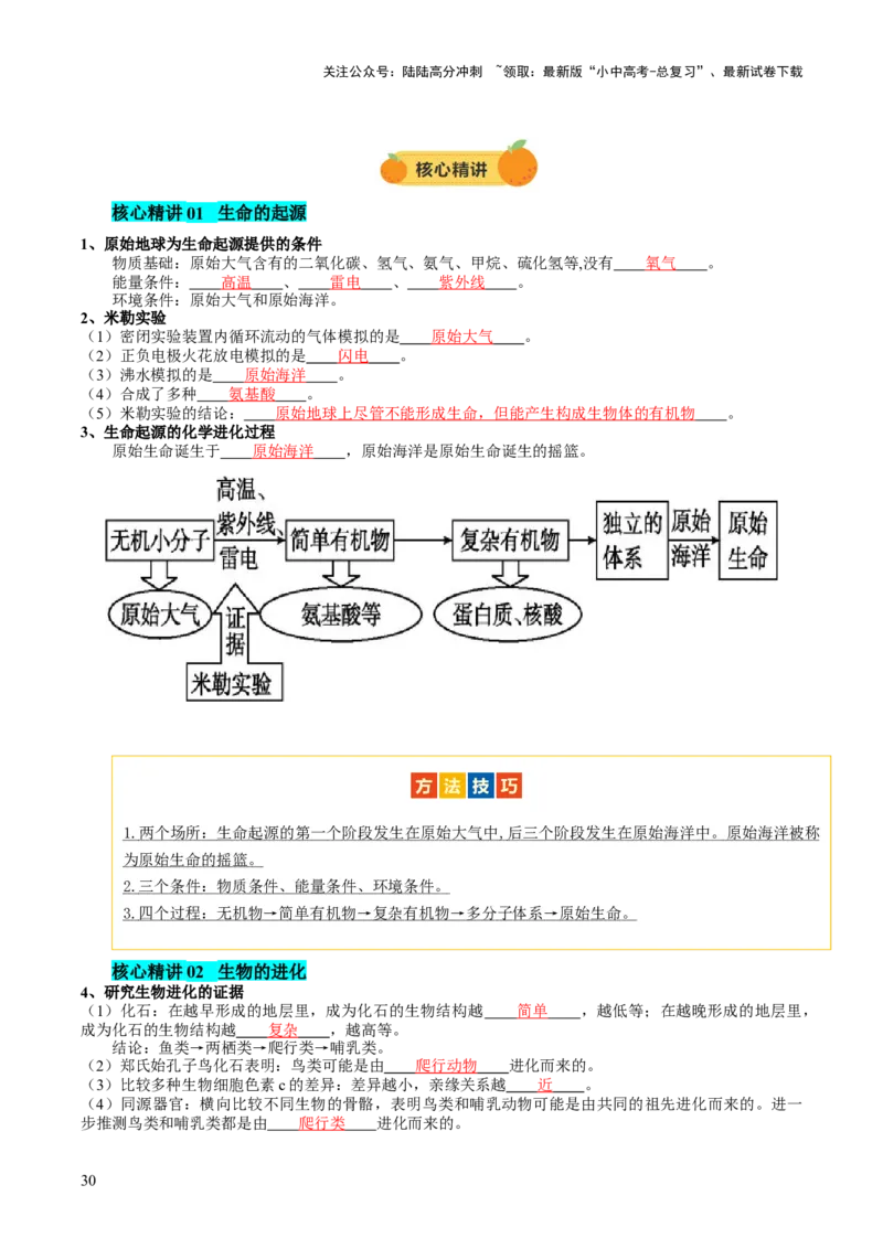 主题六遗传与进化（讲练）（解析版）_02中考总复习（2026版更新中）_08-生物-中考总复习_2025中考复习资料_2025中考二轮课件ppt+讲义+练习生物_讲义+练习