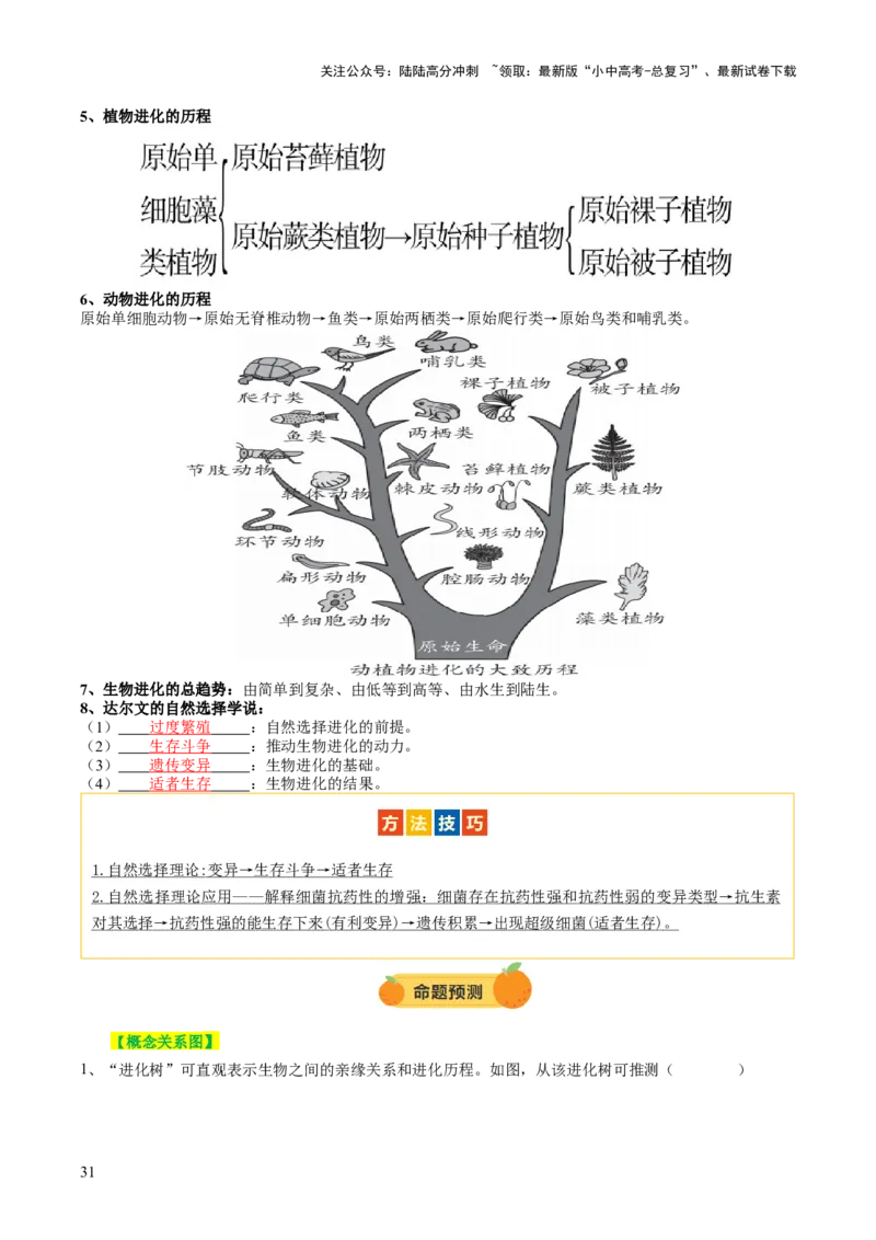 主题六遗传与进化（讲练）（解析版）_02中考总复习（2026版更新中）_08-生物-中考总复习_2025中考复习资料_2025中考二轮课件ppt+讲义+练习生物_讲义+练习