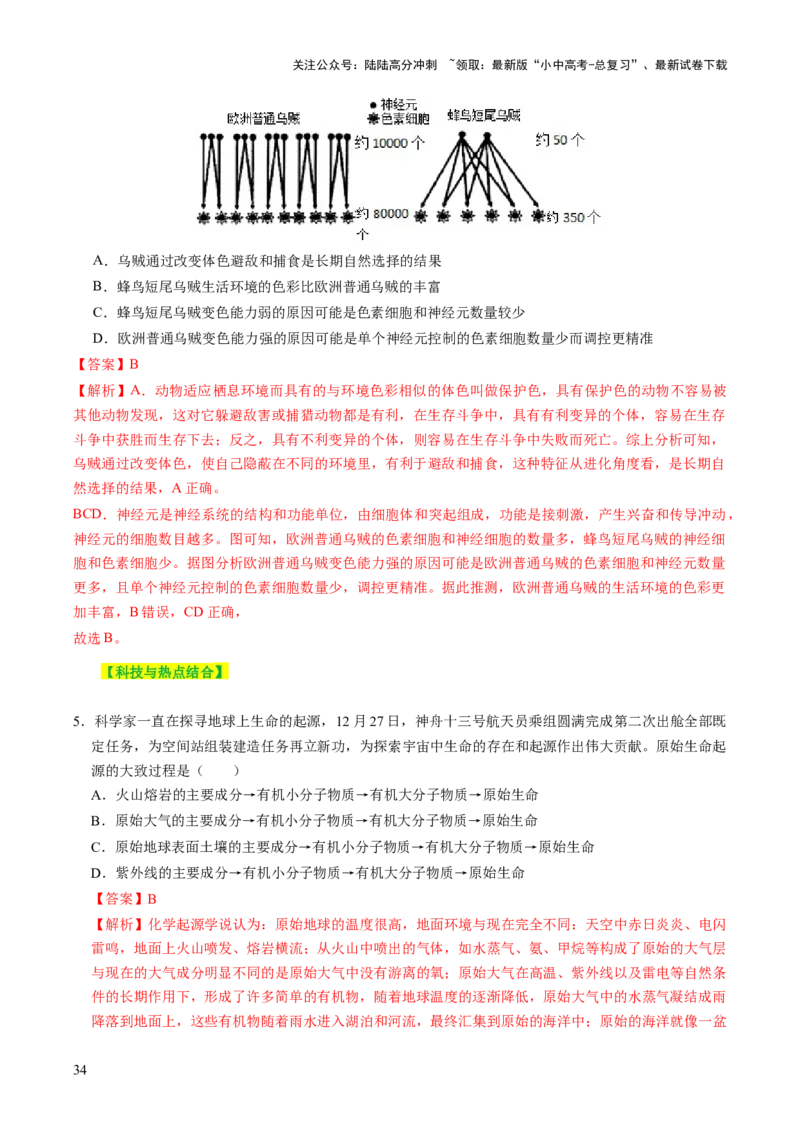 主题六遗传与进化（讲练）（解析版）_02中考总复习（2026版更新中）_08-生物-中考总复习_2025中考复习资料_2025中考二轮课件ppt+讲义+练习生物_讲义+练习