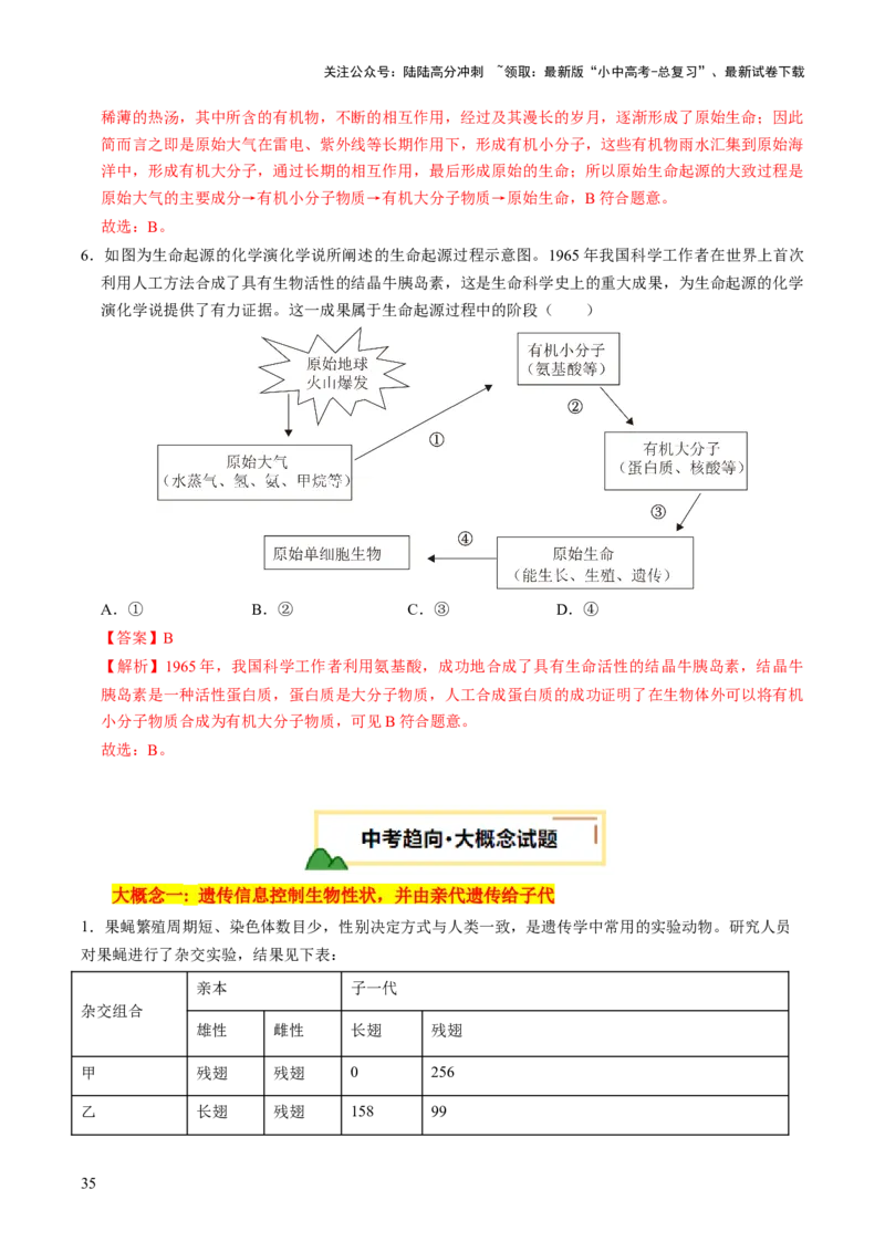 主题六遗传与进化（讲练）（解析版）_02中考总复习（2026版更新中）_08-生物-中考总复习_2025中考复习资料_2025中考二轮课件ppt+讲义+练习生物_讲义+练习