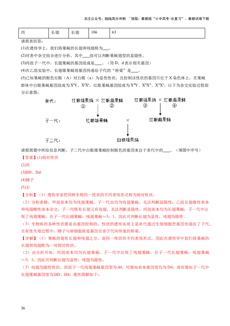 主题六遗传与进化（讲练）（解析版）_02中考总复习（2026版更新中）_08-生物-中考总复习_2025中考复习资料_2025中考二轮课件ppt+讲义+练习生物_讲义+练习