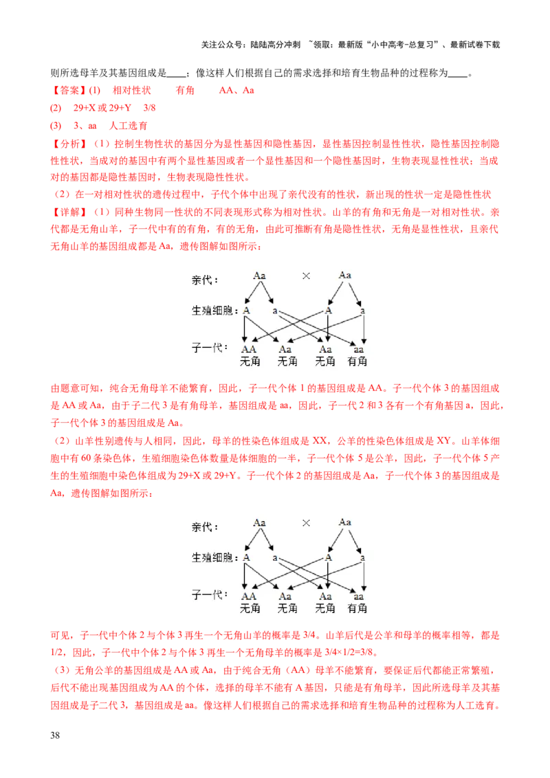 主题六遗传与进化（讲练）（解析版）_02中考总复习（2026版更新中）_08-生物-中考总复习_2025中考复习资料_2025中考二轮课件ppt+讲义+练习生物_讲义+练习