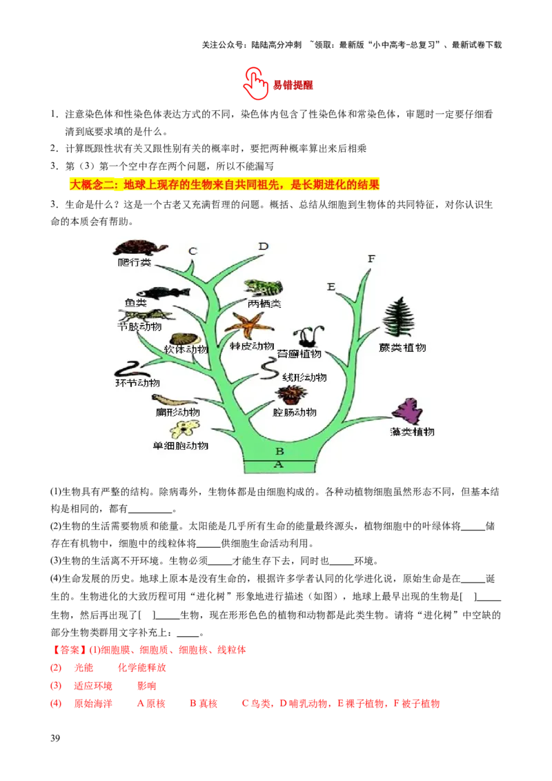 主题六遗传与进化（讲练）（解析版）_02中考总复习（2026版更新中）_08-生物-中考总复习_2025中考复习资料_2025中考二轮课件ppt+讲义+练习生物_讲义+练习