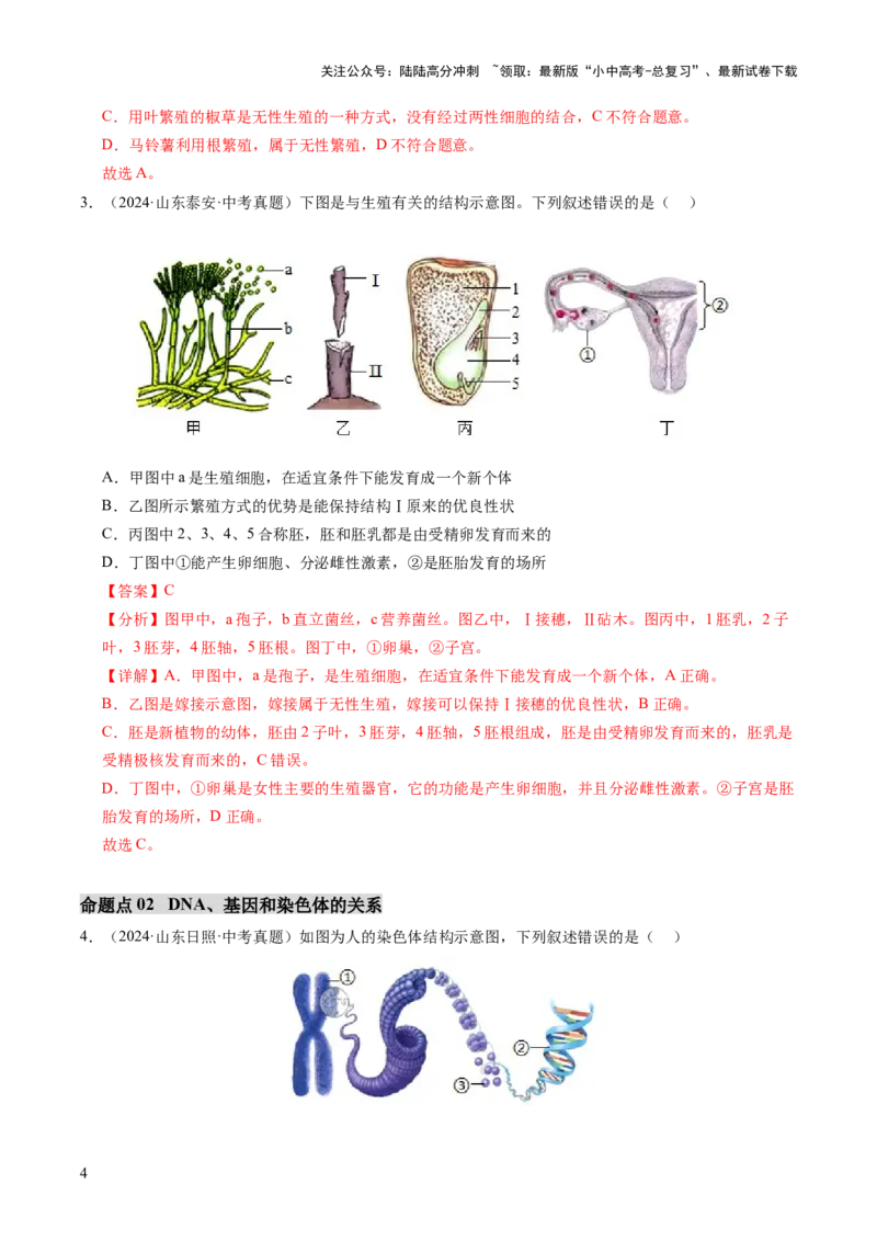 主题六遗传与进化（讲练）（解析版）_02中考总复习（2026版更新中）_08-生物-中考总复习_2025中考复习资料_2025中考二轮课件ppt+讲义+练习生物_讲义+练习