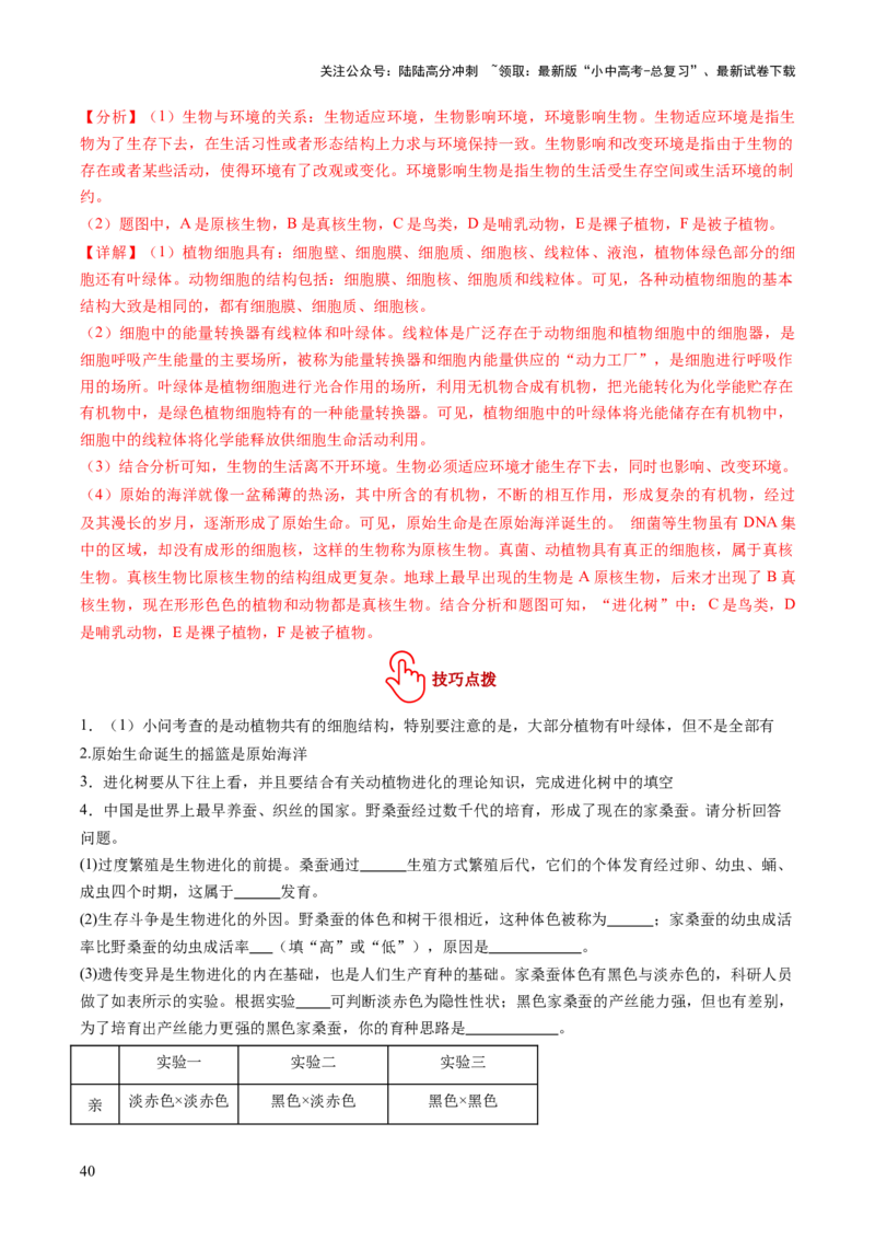 主题六遗传与进化（讲练）（解析版）_02中考总复习（2026版更新中）_08-生物-中考总复习_2025中考复习资料_2025中考二轮课件ppt+讲义+练习生物_讲义+练习