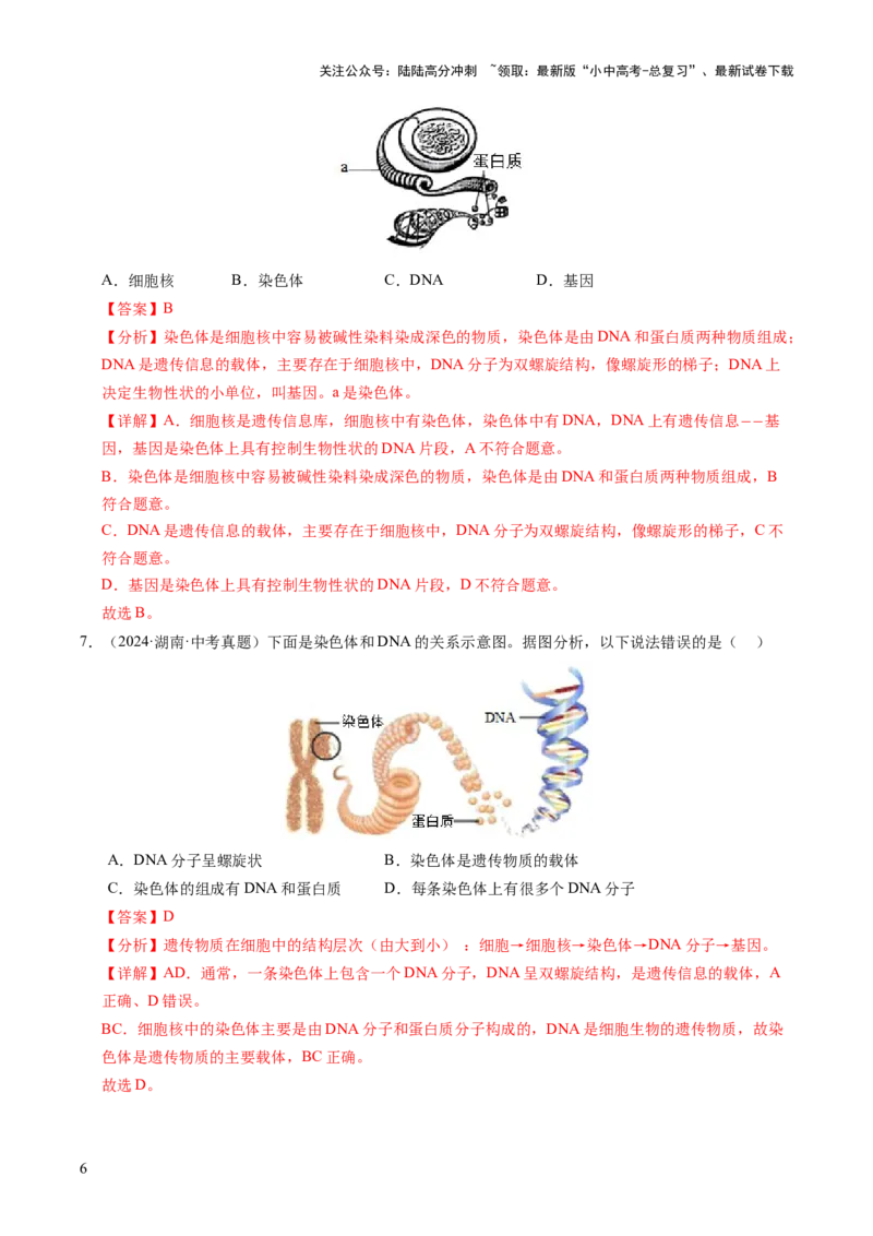 主题六遗传与进化（讲练）（解析版）_02中考总复习（2026版更新中）_08-生物-中考总复习_2025中考复习资料_2025中考二轮课件ppt+讲义+练习生物_讲义+练习