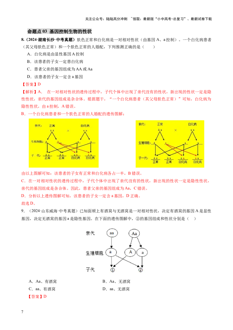 主题六遗传与进化（讲练）（解析版）_02中考总复习（2026版更新中）_08-生物-中考总复习_2025中考复习资料_2025中考二轮课件ppt+讲义+练习生物_讲义+练习