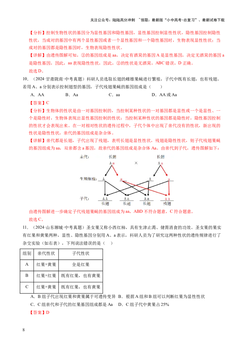 主题六遗传与进化（讲练）（解析版）_02中考总复习（2026版更新中）_08-生物-中考总复习_2025中考复习资料_2025中考二轮课件ppt+讲义+练习生物_讲义+练习