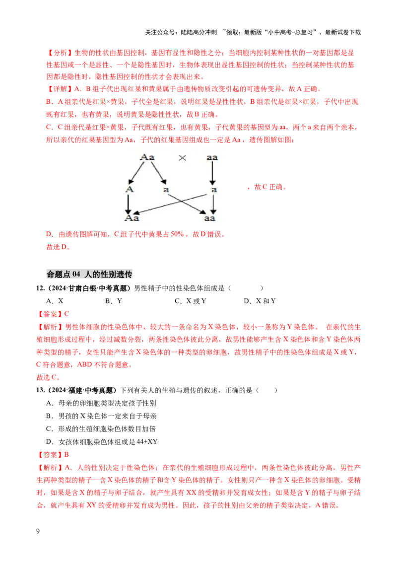 主题六遗传与进化（讲练）（解析版）_02中考总复习（2026版更新中）_08-生物-中考总复习_2025中考复习资料_2025中考二轮课件ppt+讲义+练习生物_讲义+练习