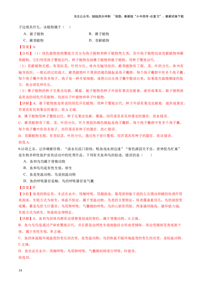 主题二生物的多样性（讲练）（解析版）_02中考总复习（2026版更新中）_08-生物-中考总复习_2025中考复习资料_2025中考二轮课件ppt+讲义+练习生物_讲义+练习_719