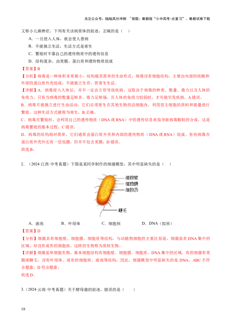 主题二生物的多样性（讲练）（解析版）_02中考总复习（2026版更新中）_08-生物-中考总复习_2025中考复习资料_2025中考二轮课件ppt+讲义+练习生物_讲义+练习_719